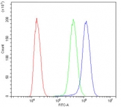 Flow cytometry testing of human SiHa cells with CD55 antibody at 1ug/10^6 cells (blocked with goat sera); Red=cells alone, Green=isotype control, Blue= CD55 antibody.