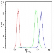 Flow cytometry testing of human PC-3 cells with CD55 antibody at 1ug/10^6 cells (blocked with goat sera); Red=cells alone, Green=isotype control, Blue= CD55 antibody.