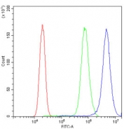 Flow cytometry testing of human PC-3 cells with Galectin 1 antibody at 1ug/million cells (blocked with goat sera); Red=cells alone, Green=isotype control, Blue= Galectin 1 antibody.