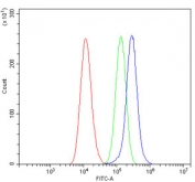 Flow cytometry testing of human A549 cells with DLD antibody at 1ug/million cells (blocked with goat sera); Red=cells alone, Green=isotype control, Blue= DLD antibody.