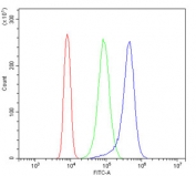 Flow cytometry testing of human K562 cells with PGP 9.5 antibody at 1ug/million cells (blocked with goat sera); Red=cells alone, Green=isotype control, Blue= PGP 9.5 antibody.