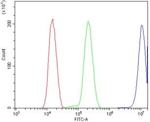 Flow cytometry testing of human HeLa cells with HSP70 antibody at 1ug/million cells (blocked with goat sera); Red=cells alone, Green=isotype control, Blue= HSP70 antibody.