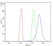 Flow cytometry testing of human A431 cells with SLC2A1 antibody at 1ug/million cells (blocked with goat sera); Red=cells alone, Green=isotype control, Blue= SLC2A1 antibody.