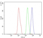 Flow cytometry testing of human SiHa cells with Ku80 antibody at 1ug/million cells (blocked with goat sera); Red=cells alone, Green=isotype control, Blue= Ku80 antibody.