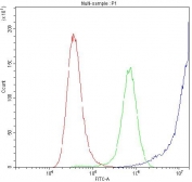 Flow cytometry testing of human A549 cells with Ribonuclease Inhibitor antibody at 1ug/million cells (blocked with goat sera); Red=cells alone, Green=isotype control, Blue= Ribonuclease Inhibitor antibody.