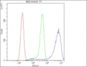 Flow cytometry testing of human A431 cells with Ribonuclease Inhibitor antibody at 1ug/million cells (blocked with goat sera); Red=cells alone, Green=isotype control, Blue= Ribonuclease Inhibitor antibody.