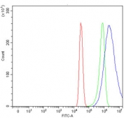 Flow cytometry testing of human A431 cells with Tissue Factor antibody at 1ug/million cells (blocked with goat sera); Red=cells alone, Green=isotype control, Blue= Tissue Factor antibody.