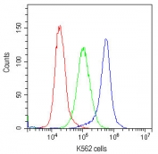 Flow cytometry testing of human K562 cells with CD59 antibody at 1ug/10^6 cells; Red=cells alone, Green=isotype control, Blue=CD59 antibody.