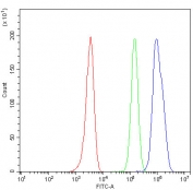 Flow cytometry testing of fixed and permeabilized human HEL cells with NM23 antibody at 1ug/10^6 cells (blocked with goat sera); Red=cells alone, Green=isotype control, Blue=NM23 antibody.