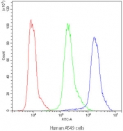 Flow cytometry testing of human A549 cells with NM23 antibody at 1ug/10^6 cells (blocked with goat sera); Red=cells alone, Green=isotype control, Blue=NM23 antibody.