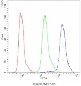 Flow cytometry testing of human A549 cells with NM23 antibody at 1ug/million cells (blocked with goat sera); Red=cells alone, Green=isotype control, Blue=NM23 antibody.