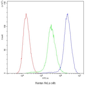 Flow cytometry testing of human HeLa cells with NM23 antibody at 1ug/million cells (blocked with goat sera); Red=cells alone, Green=isotype control, Blue=NM23 antibody.