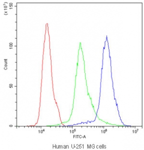 Flow cytometry testing of human U-251 MG cells with NM23 antibody at 1ug/million cells (blocked with goat sera); Red=cells alone, Green=isotype control, Blue=NM23 antibody.