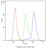 Flow cytometry testing of human U-251 MG cells with NM23 antibody at 1ug/10^6 cells (blocked with goat sera); Red=cells alone, Green=isotype control, Blue=NM23 antibody.