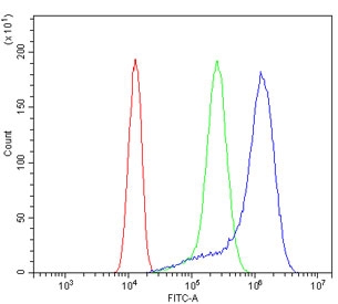 Flow cytometry testing of human A431 cells with Kv1.2 antibody at 1ug/million cells (blocked with goat sera); Red=cells alone, Green=isotype control, Blue= Kv1.2 antibody.