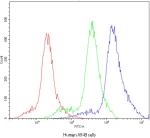 Flow cytometry testing of human A549 cells with POR antibody at 1ug/million cells (blocked with goat sera); Red=cells alone, Green=isotype control, Blue=POR antibody.