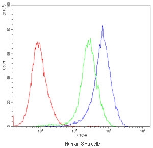 Flow cytometry testing of human SiHa cells with POR antibody at 1ug/million cells (blocked with goat sera); Red=cells alone, Green=isotype control, Blue=POR antibody.