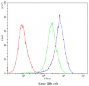 Flow cytometry testing of human SiHa cells with POR antibody at 1ug/10^6 cells (blocked with goat sera); Red=cells alone, Green=isotype control, Blue=POR antibody.