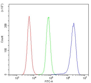 Flow cytometry testing of mouse RAW264.7 cells with Stathmin 1 antibody at 1ug/million cells (blocked with goat sera); Red=cells alone, Green=isotype control, Blue= Stathmin 1 antibody.