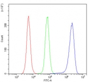 Flow cytometry testing of mouse RAW264.7 cells with Stathmin 1 antibody at 1ug/million cells (blocked with goat sera); Red=cells alone, Green=isotype control, Blue= Stathmin 1 antibody.