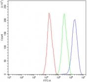 Flow cytometry testing of human HepG2 cells with XBP1 antibody at 1ug/million cells (blocked with goat sera); Red=cells alone, Green=isotype control, Blue= XBP1 antibody.