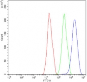 Flow cytometry testing of human HepG2 cells with XBP1 antibody at 1ug/million cells (blocked with goat sera); Red=cells alone, Green=isotype control, Blue= XBP1 antibody.