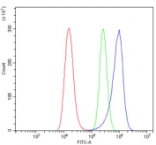 Flow cytometry testing of human A549 cells with SDC1 antibody at 1ug/million cells (blocked with goat sera); Red=cells alone, Green=isotype control, Blue= SDC1 antibody.