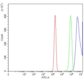 Flow cytometry testing of human U-2 OS cells with Cyclin A2 antibody at 1ug/million cells (blocked with goat sera); Red=cells alone, Green=isotype control, Blue= Cyclin A2 antibody.