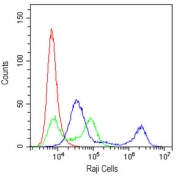 Flow cytometry testing of human Raji cells with CD22 antibody at 1ug/10^6 cells (cells blocked with goat sera); Red=cells alone, Green=isotype control, Blue=CD22 antibody.