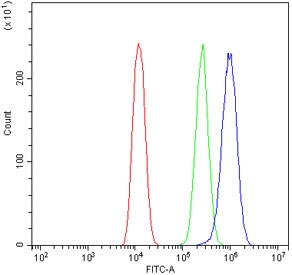 Flow cytometry testing of human U-2 OS cells with MAOA antibody at 1ug/million cells (blocked with goat sera); Red=cells alone, Green=isotype control, Blue= MAOA antibody.