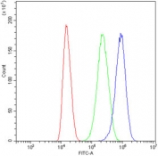 Flow cytometry testing of human U-87 MG cells with MAOA antibody at 1ug/10^6 cells (blocked with goat sera); Red=cells alone, Green=isotype control, Blue= MAOA antibody.