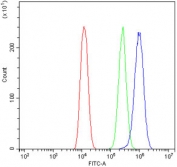 Flow cytometry testing of human U-2 OS cells with MAOA antibody at 1ug/10^6 cells (blocked with goat sera); Red=cells alone, Green=isotype control, Blue= MAOA antibody.