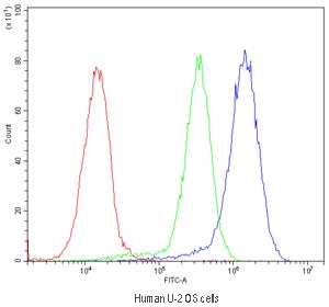 Flow cytometry testing of human U-2 OS cells with BMP5 antibody at 1ug/million cells (blocked with goat sera); Red=cells alone, Green=isotype control, Blue=BMP5 antibody.