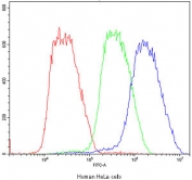 Flow cytometry testing of human HeLa cells with BMP6 antibody at 1ug/10^6 cells (blocked with goat sera); Red=cells alone, Green=isotype control, Blue=BMP6 antibody.