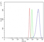 Flow cytometry testing of human SiHa cells with CYP7A1 antibody at 1ug/million cells (blocked with goat sera); Red=cells alone, Green=isotype control, Blue= CYP7A1 antibody.