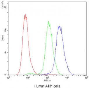Flow cytometry testing of human A431 cells with PKC eta antibody at 1ug/million cells (blocked with goat sera); Red=cells alone, Green=isotype control, Blue= PKC eta antibody.