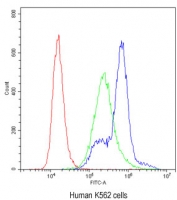 Flow cytometry testing of human K562 cells with PKC eta antibody at 1ug/10^6 cells (blocked with goat sera); Red=cells alone, Green=isotype control, Blue= PKC eta antibody.