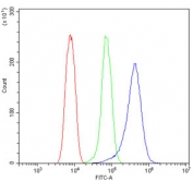 Flow cytometry testing of mouse HEPA1-6 cells with S100A8 antibody at 1ug/million cells (blocked with goat sera); Red=cells alone, Green=isotype control, Blue= S100A8 antibody.