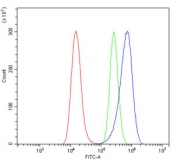 Flow cytometry testing of human A549 cells with Peroxiredoxin 5 antibody at 1ug/million cells (blocked with goat sera); Red=cells alone, Green=isotype control, Blue= Peroxiredoxin 5 antibody.