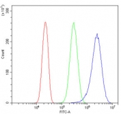 Flow cytometry testing of human PC-3 cells with PDIA3 antibody at 1ug/million cells (blocked with goat sera); Red=cells alone, Green=isotype control, Blue= PDIA3 antibody.