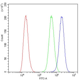 Flow cytometry testing of human A431 cells with LCN2 antibody at 1ug/million cells (blocked with goat sera); Red=cells alone, Green=isotype control, Blue= LCN2 antibody.