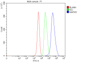 Flow cytometry analysis of fixed and permeabilized mouse HEPA1-6 cells with JNK2 antibody at 1ug/million cells (blocked with goat sera); Red=cells alone, Green=isotype control, Blue= JNK2 antibody.