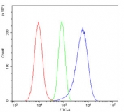 Flow cytometry testing of human A549 cells with HINT1 antibody at 1ug/million cells (blocked with goat sera); Red=cells alone, Green=isotype control, Blue= HINT1 antibody.