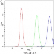 Flow cytometry testing of human SiHa cells with PPT1 antibody at 1ug/10^6 cells (blocked with goat sera); Red=cells alone, Green=isotype control, Blue=PPT1 antibody.