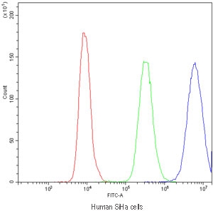 Flow cytometry testing of human SiHa cells with PPT1 antibody at 1ug/million cells (blocked with goat sera); Red=cells alone, Green=isotype control, Blue=PPT1 antibody.