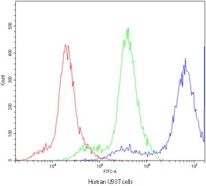 Flow cytometry testing of human U937 cells with PPT1 antibody at 1ug/million cells (blocked with goat sera); Red=cells alone, Green=isotype control, Blue=PPT1 antibody.