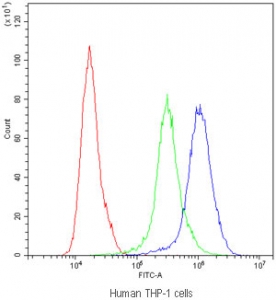 Flow cytometry testing of human THP-1 cells with PPT1 antibody at 1ug/million cells (blocked with goat sera); Red=cells alone, Green=isotype control, Blue=PPT1 antibody.