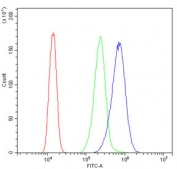 Flow cytometry testing of human A431 cells with STAT5b antibody at 1ug/million cells (blocked with goat sera); Red=cells alone, Green=isotype control, Blue= STAT5b antibody.