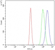 Flow cytometry testing of human A431 cells with MNAT1 antibody at 1ug/million cells (blocked with goat sera); Red=cells alone, Green=isotype control, Blue= MNAT1 antibody.