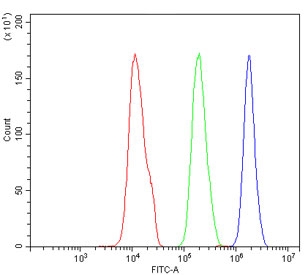 Flow cytometry testing of human SiHa cells with AGFG1 antibody at 1ug/million cells (blocked with goat sera); Red=cells alone, Green=isotype control, Blue= AGFG1 antibody.